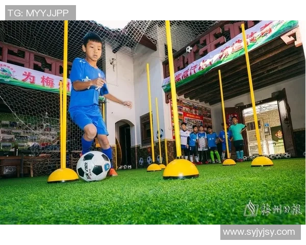 麻雀足球：小小鸟儿如何在绿茵场上展翅翱翔的精彩故事